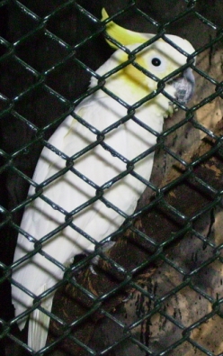 7.JPG