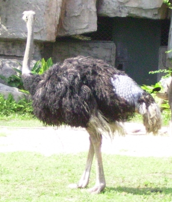 11.JPG