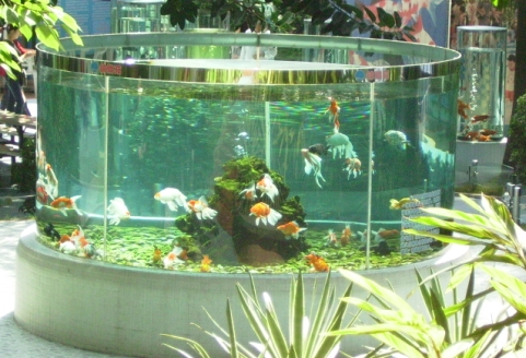 14.JPG