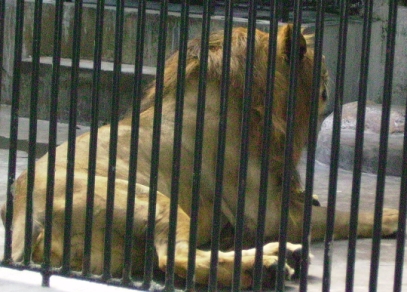 15.JPG