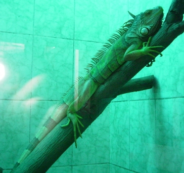 24.JPG