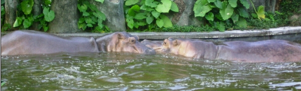 47.JPG