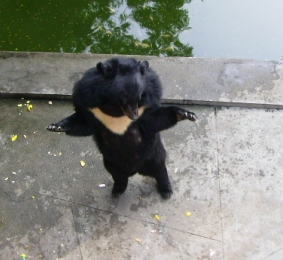 48.JPG
