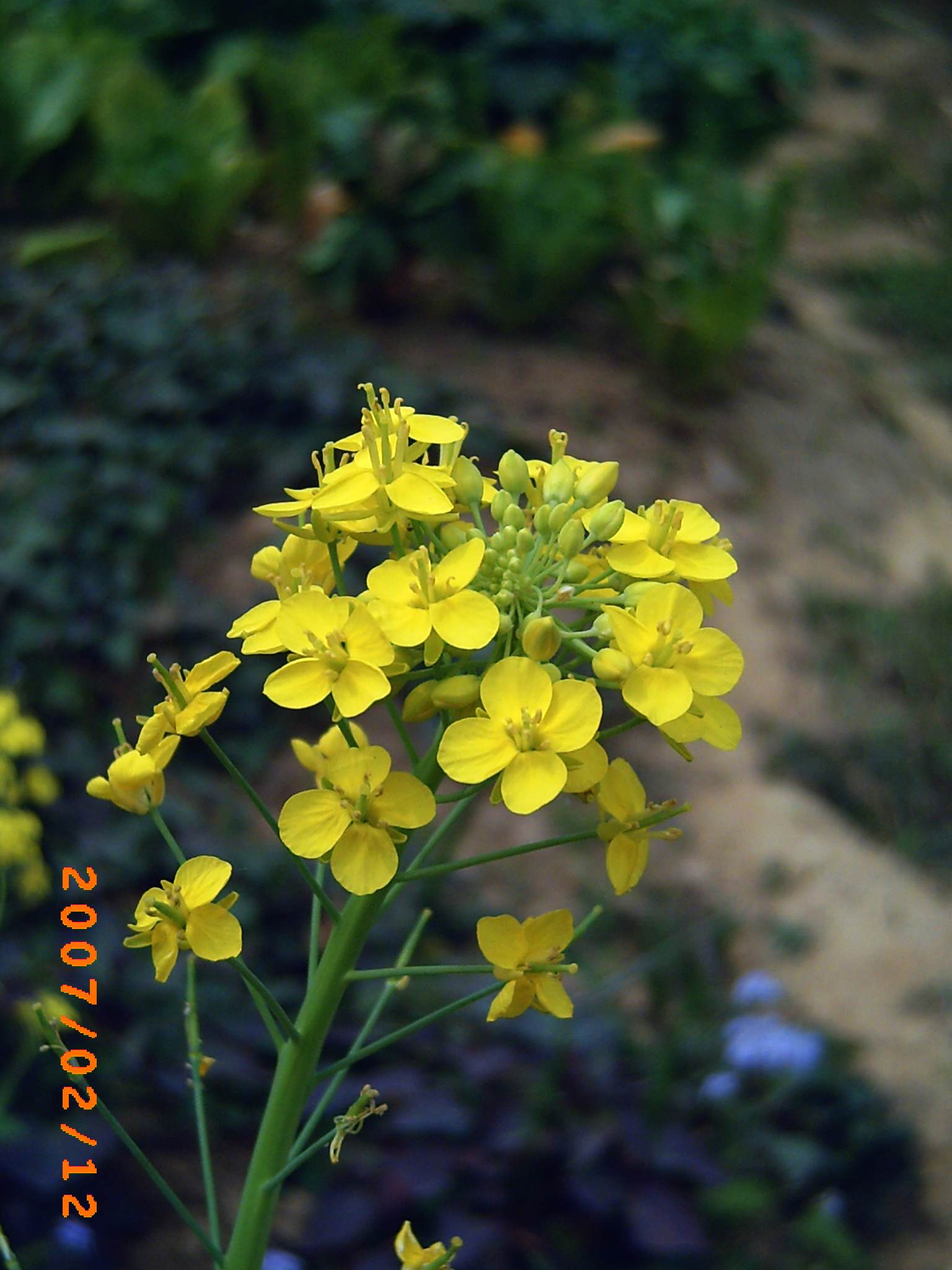 PICT00341.jpg