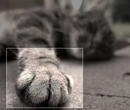 名称:  0003083299.gif
查看次数: 222
文件大小:  92.7 KB
