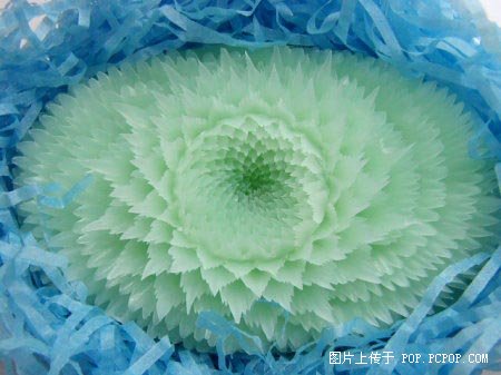 名称:  0003120152.jpg
查看次数: 117
文件大小:  35.1 KB