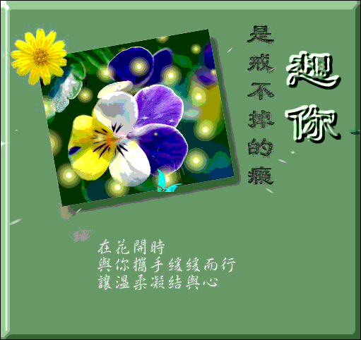 4.gif