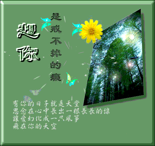 5.gif