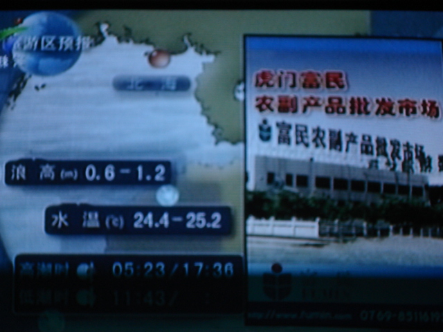 名称:  DSC00255.JPG
查看次数: 183
文件大小:  148.5 KB