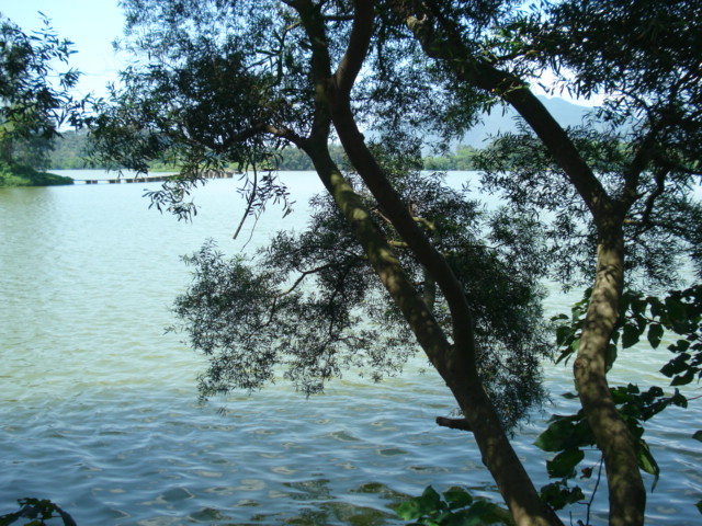 名称:  DSC00029.JPG
查看次数: 185
文件大小:  148.4 KB