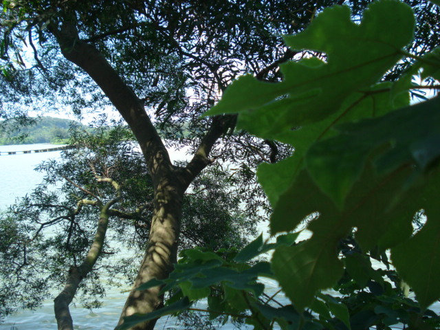 名称:  DSC00030.JPG
查看次数: 193
文件大小:  148.6 KB