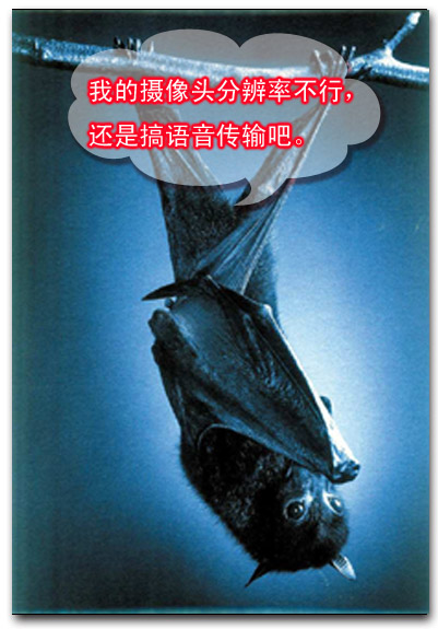 名称:  1.jpg
查看次数: 164
文件大小:  88.3 KB