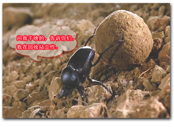 名称:  2.jpg
查看次数: 167
文件大小:  96.9 KB