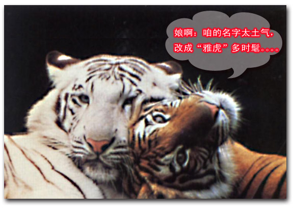 名称:  7.jpg
查看次数: 158
文件大小:  82.3 KB