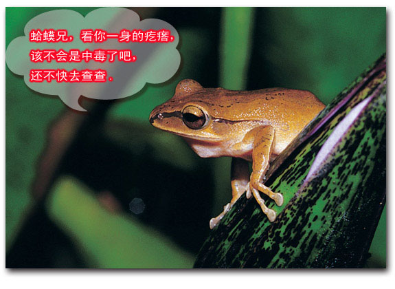 名称:  15.jpg
查看次数: 156
文件大小:  81.2 KB