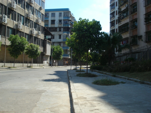 名称:  DSC00044.JPG
查看次数: 785
文件大小:  144.5 KB