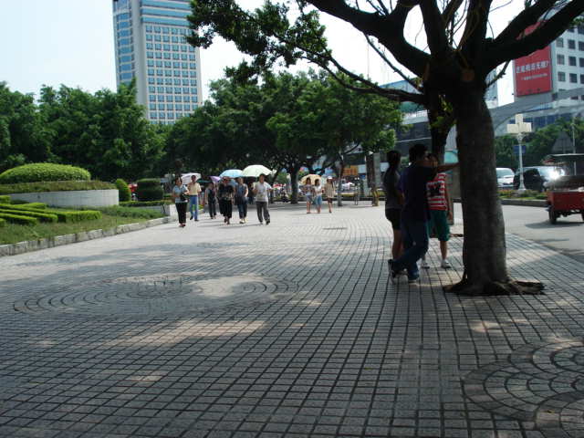 名称:  DSC00001.JPG
查看次数: 743
文件大小:  57.9 KB