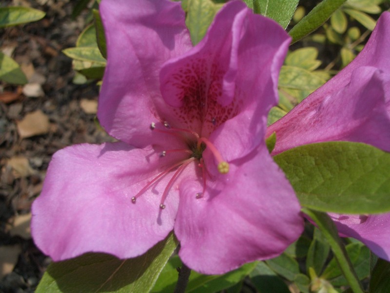 CIMG0368.JPG