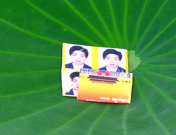 a01.jpg