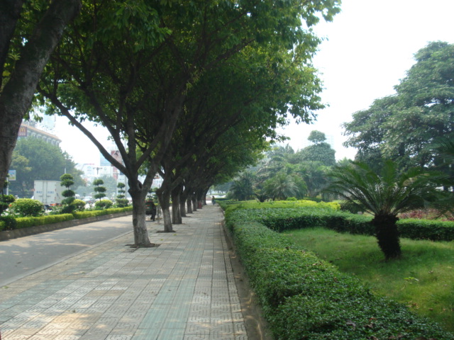 名称:  DSC00132.JPG
查看次数: 3627
文件大小:  142.6 KB