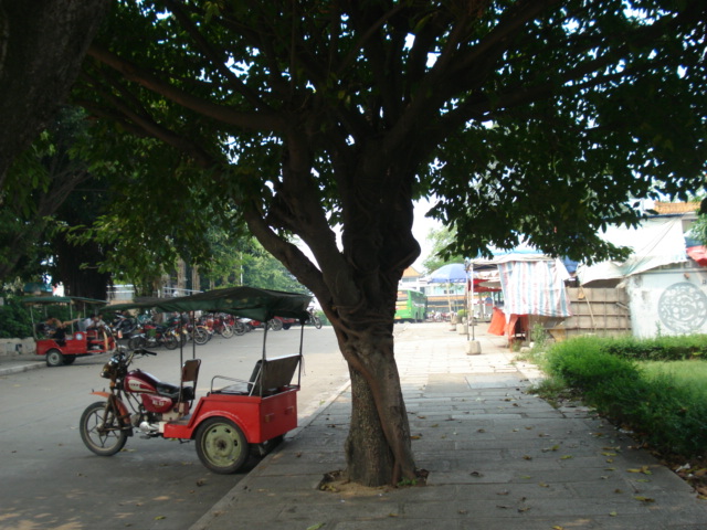 名称:  DSC00141.JPG
查看次数: 3450
文件大小:  144.5 KB
