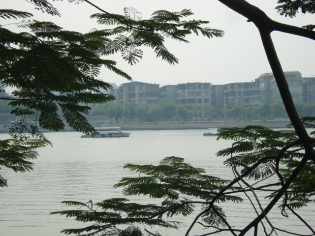 名称:  DSC00168.JPG
查看次数: 2357
文件大小:  153.4 KB
