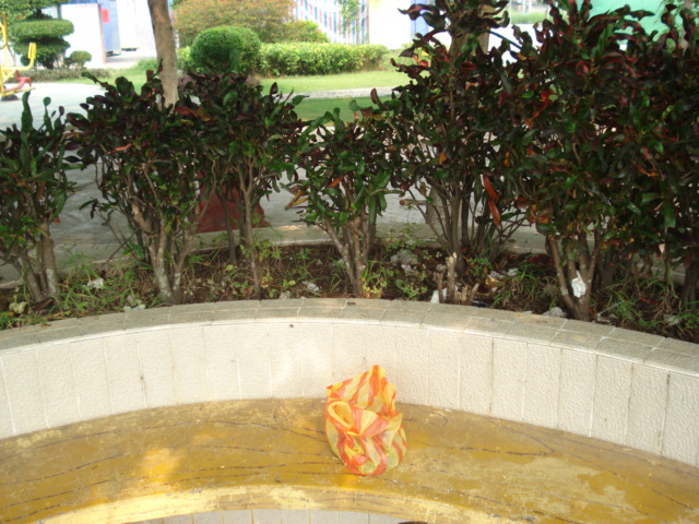 名称:  DSC00170.JPG
查看次数: 2538
文件大小:  145.7 KB