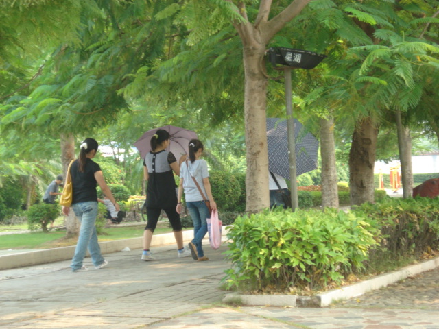 名称:  DSC00181.JPG
查看次数: 2537
文件大小:  146.1 KB