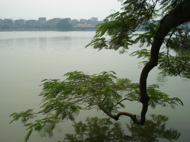 名称:  DSC00182.JPG
查看次数: 2503
文件大小:  144.1 KB