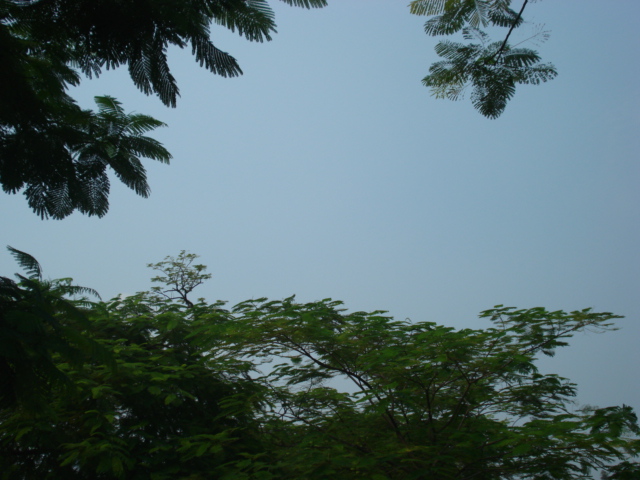 名称:  DSC00194.JPG
查看次数: 2573
文件大小:  144.6 KB
