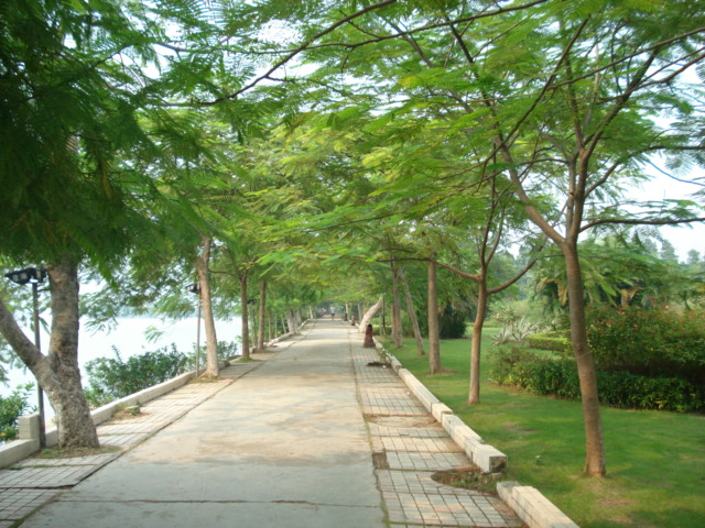 名称:  DSC00195.JPG
查看次数: 2527
文件大小:  146.9 KB