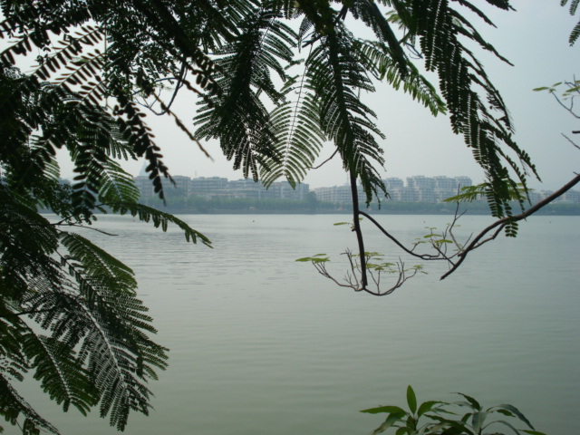 名称:  DSC00197.JPG
查看次数: 2507
文件大小:  146.0 KB