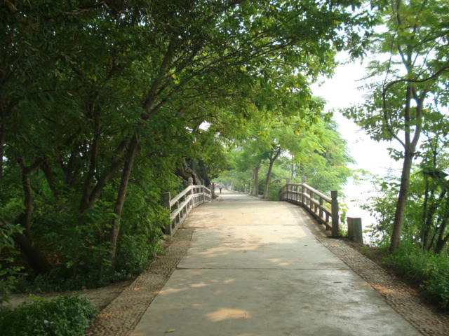 名称:  DSC00216.JPG
查看次数: 2634
文件大小:  143.6 KB