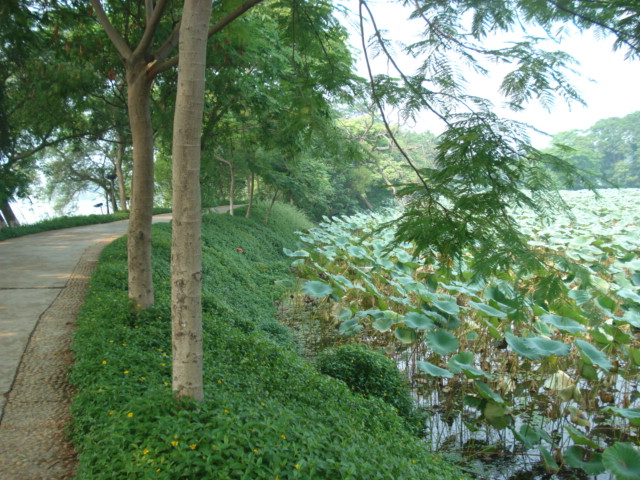 名称:  DSC00219.JPG
查看次数: 1995
文件大小:  146.3 KB