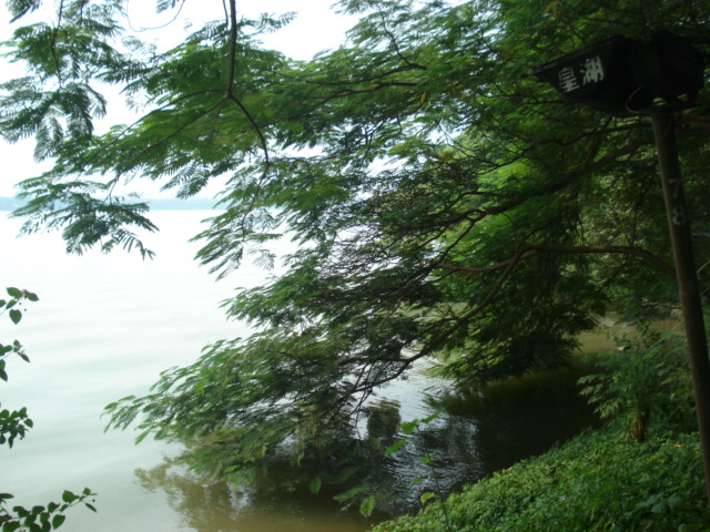 名称:  DSC00224.JPG
查看次数: 1370
文件大小:  139.7 KB