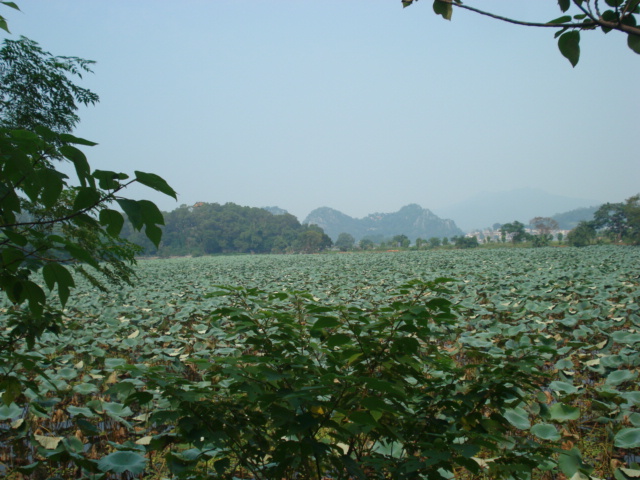 名称:  DSC00225.JPG
查看次数: 1353
文件大小:  146.4 KB