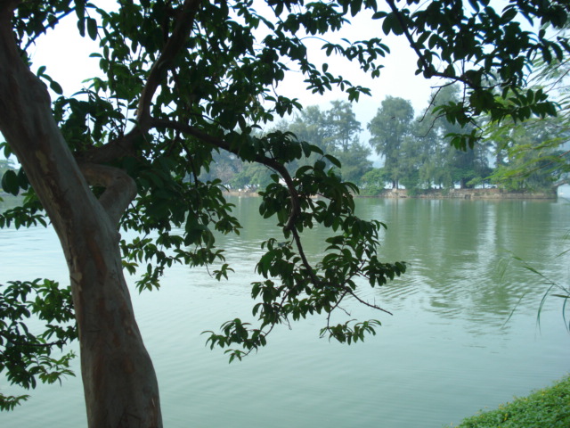 名称:  DSC00231.JPG
查看次数: 1279
文件大小:  148.5 KB