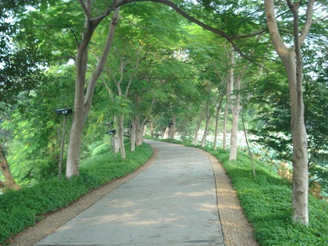 名称:  DSC00235.JPG
查看次数: 1257
文件大小:  144.3 KB