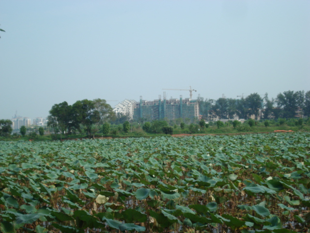 名称:  DSC00238.JPG
查看次数: 1673
文件大小:  159.7 KB