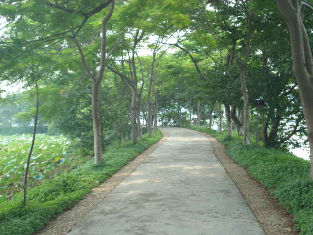 名称:  DSC00239.JPG
查看次数: 1704
文件大小:  140.9 KB