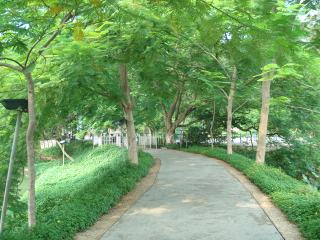 名称:  DSC00246.JPG
查看次数: 1158
文件大小:  144.3 KB