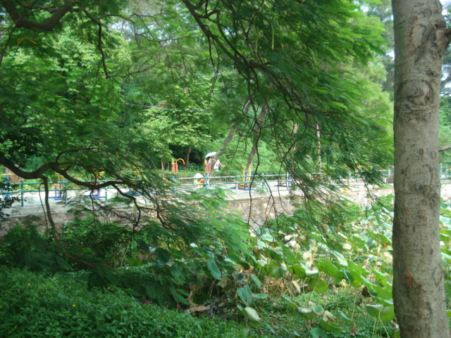 名称:  DSC00248.JPG
查看次数: 1151
文件大小:  149.3 KB