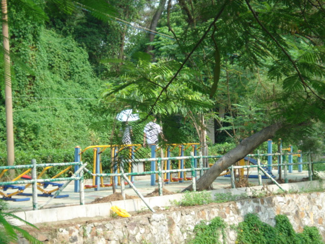 名称:  DSC00250.JPG
查看次数: 1128
文件大小:  146.5 KB