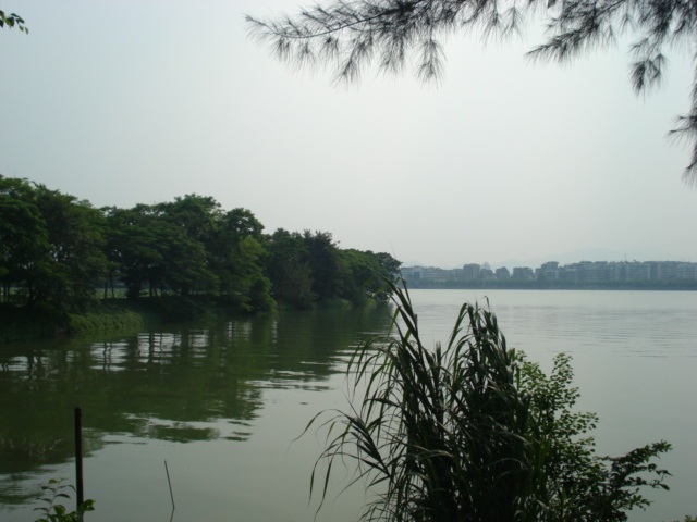 名称:  DSC00254.JPG
查看次数: 1188
文件大小:  131.9 KB
