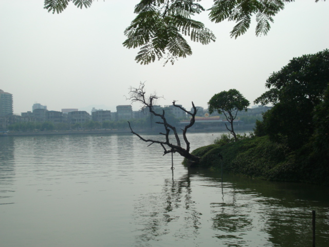 名称:  DSC00298.JPG
查看次数: 1117
文件大小:  141.4 KB