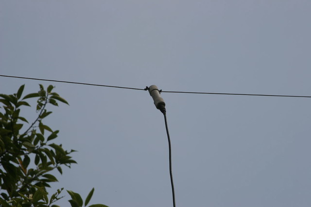 名称:  IMG_6541s.JPG
查看次数: 1240
文件大小:  25.7 KB