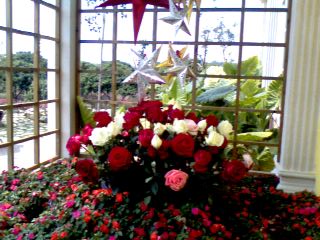 IMG0163A.jpg