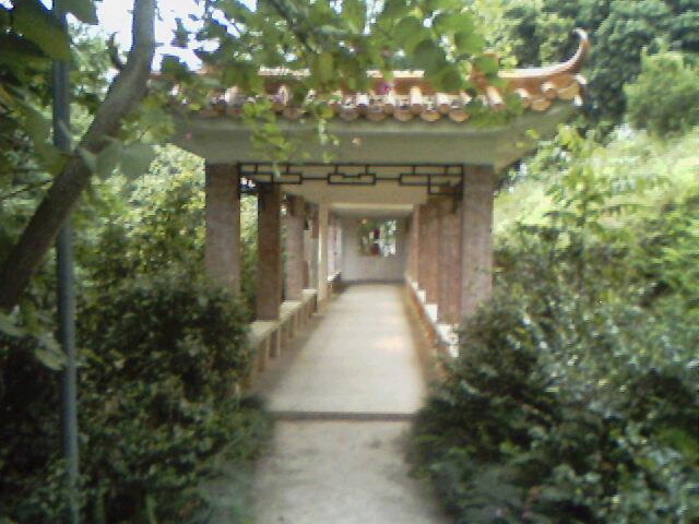 名称:  10.jpg
查看次数: 2549
文件大小:  91.7 KB