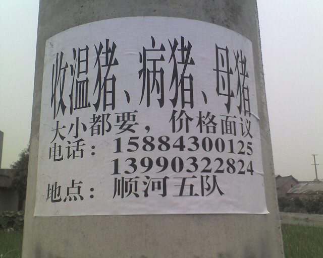 9098769_8639344.jpg