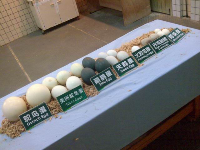 名称:  调整大小 图像132.jpg
查看次数: 488
文件大小:  50.3 KB